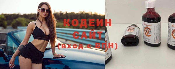 ECSTASY Алзамай