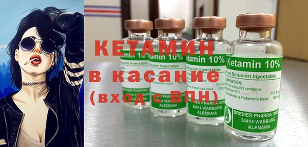 шишки Лабытнанги