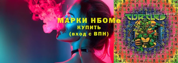 ECSTASY Алзамай