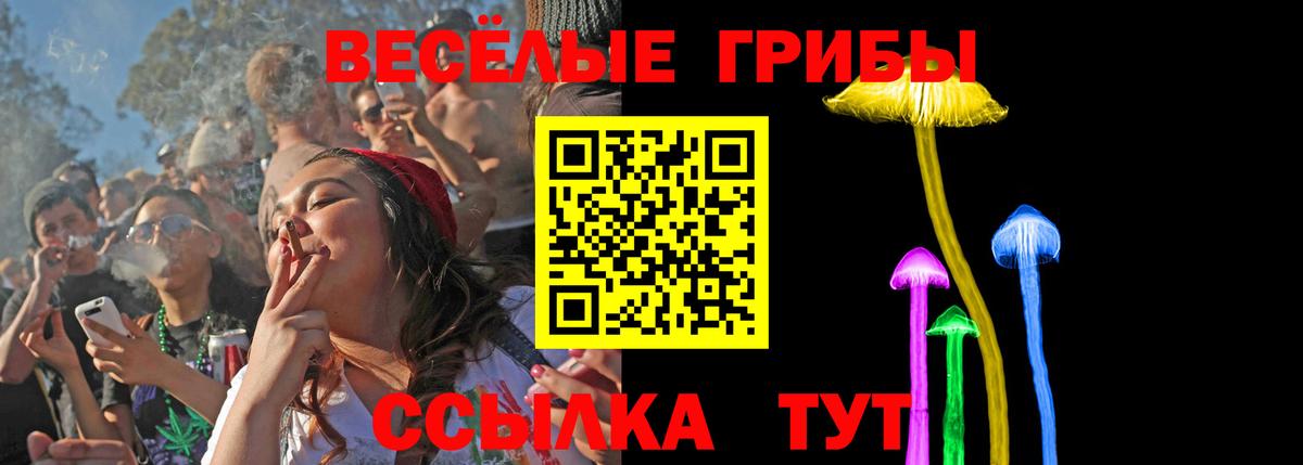 Кызыл  Псилоцибиновые грибы мицелий  закладка  Вход с VPN 